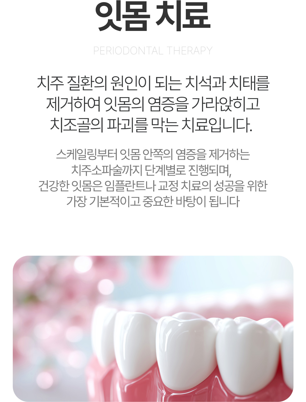 잇몸치료