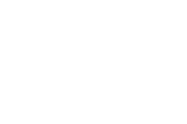 비발치 교정