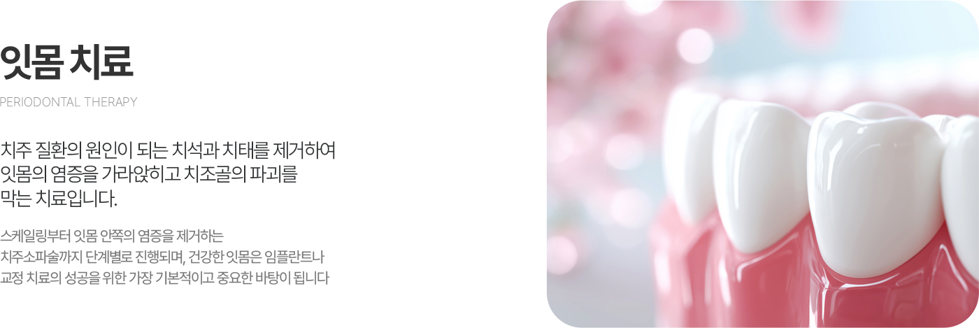 잇몸치료